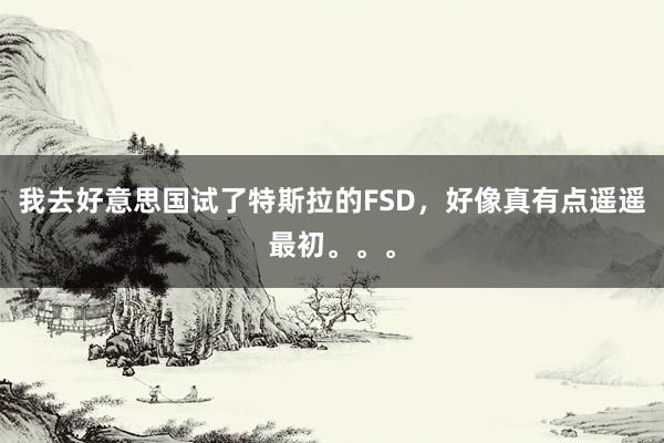 我去好意思国试了特斯拉的FSD，好像真有点遥遥最初。。。