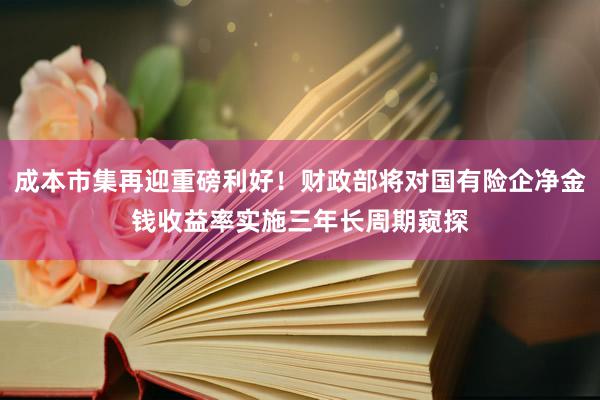 成本市集再迎重磅利好！财政部将对国有险企净金钱收益率实施三年长周期窥探