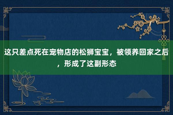 这只差点死在宠物店的松狮宝宝，被领养回家之后，形成了这副形态