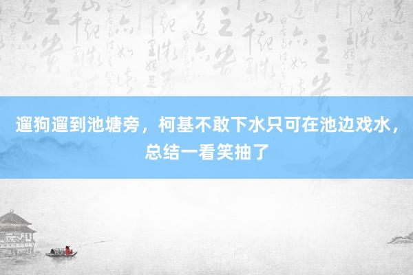 遛狗遛到池塘旁，柯基不敢下水只可在池边戏水，总结一看笑抽了