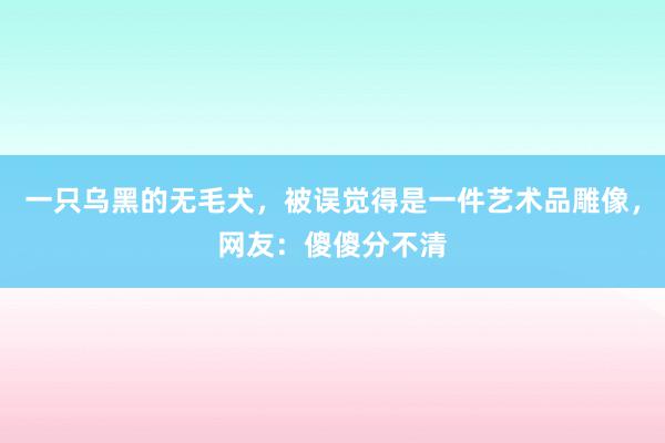 一只乌黑的无毛犬，被误觉得是一件艺术品雕像，网友：傻傻分不清