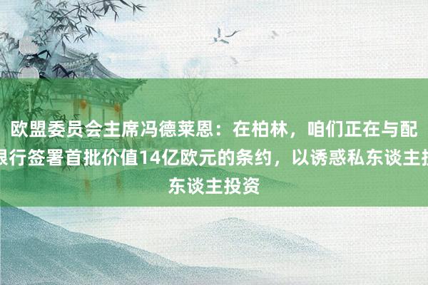 欧盟委员会主席冯德莱恩：在柏林，咱们正在与配合银行签署首批价值14亿欧元的条约，以诱惑私东谈主投资