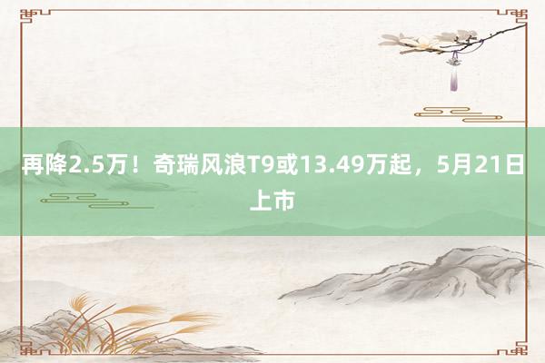 再降2.5万！奇瑞风浪T9或13.49万起，5月21日上市