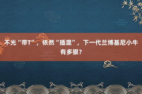 不光“带T”，依然“插混”，下一代兰博基尼小牛有多狠？