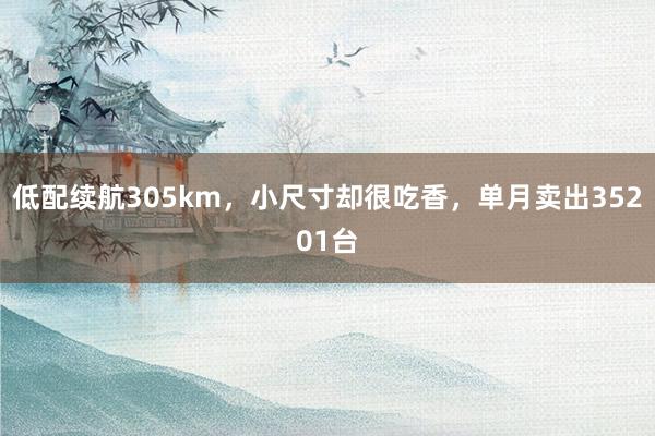 低配续航305km，小尺寸却很吃香，单月卖出35201台