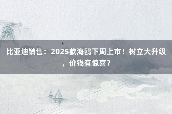 比亚迪销售：2025款海鸥下周上市！树立大升级，价钱有惊喜？