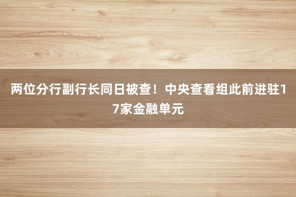 两位分行副行长同日被查！中央查看组此前进驻17家金融单元