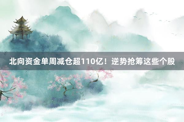 北向资金单周减仓超110亿！逆势抢筹这些个股