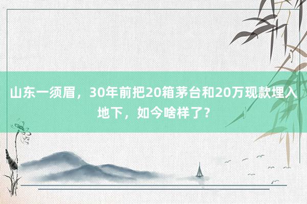 山东一须眉，30年前把20箱茅台和20万现款埋入地下，如今啥样了？